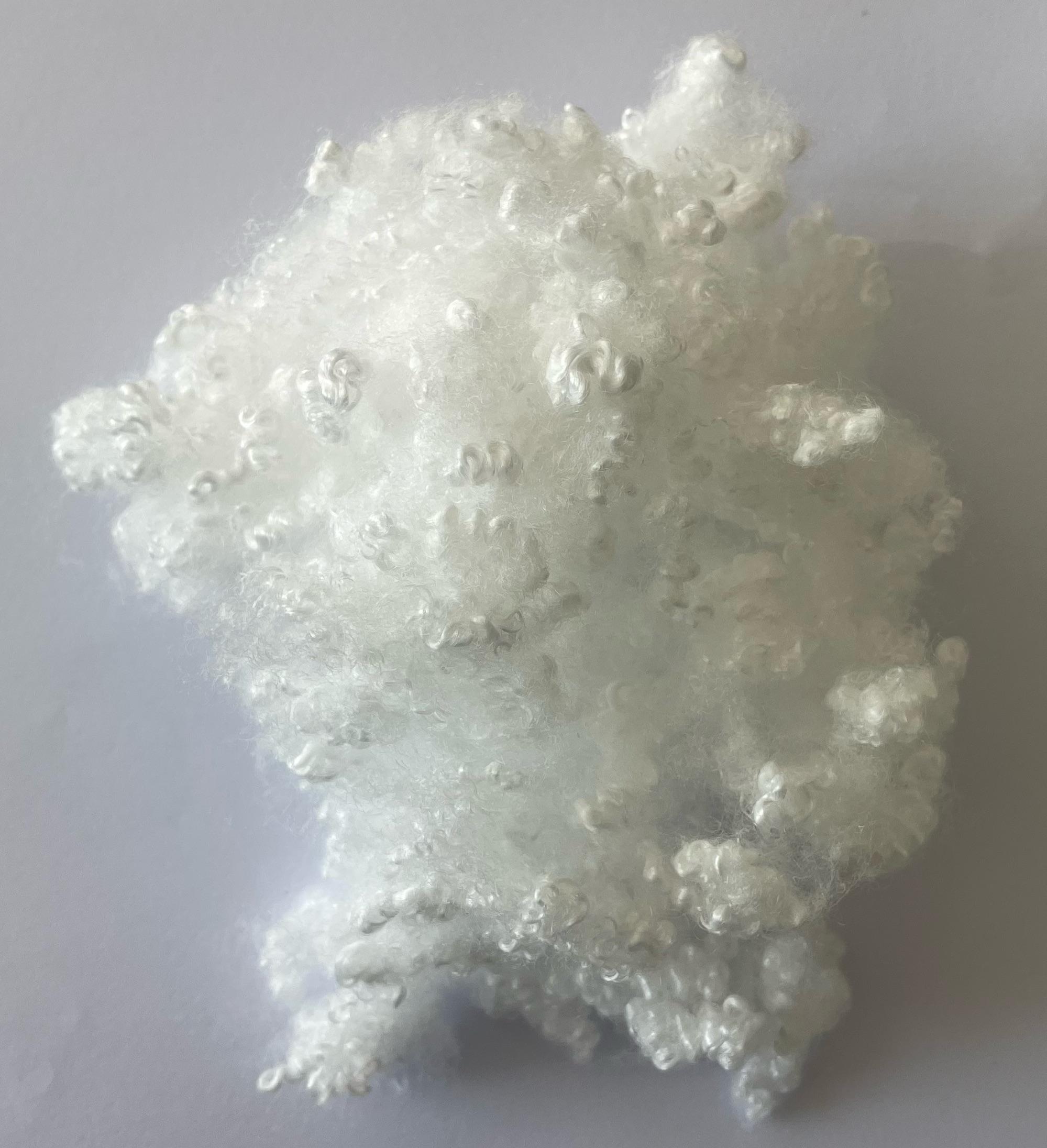 Polyester Fiber